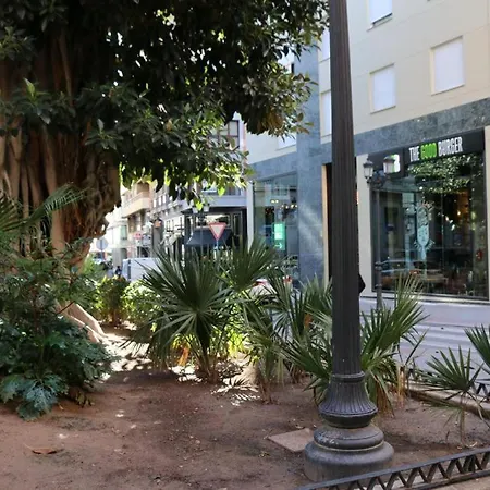 Pensión Portal De Elche Alicante
